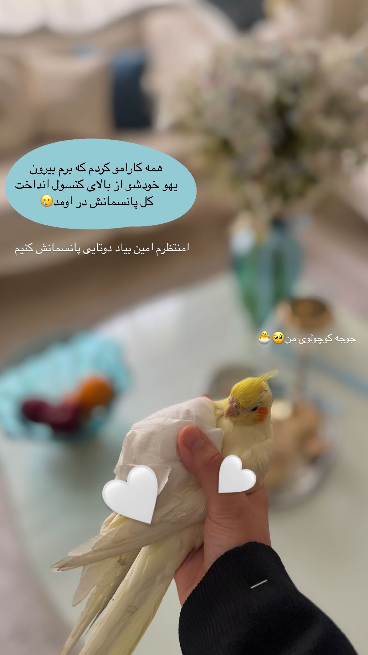  جدید ترین استوری اینستاگرام زهره و امین