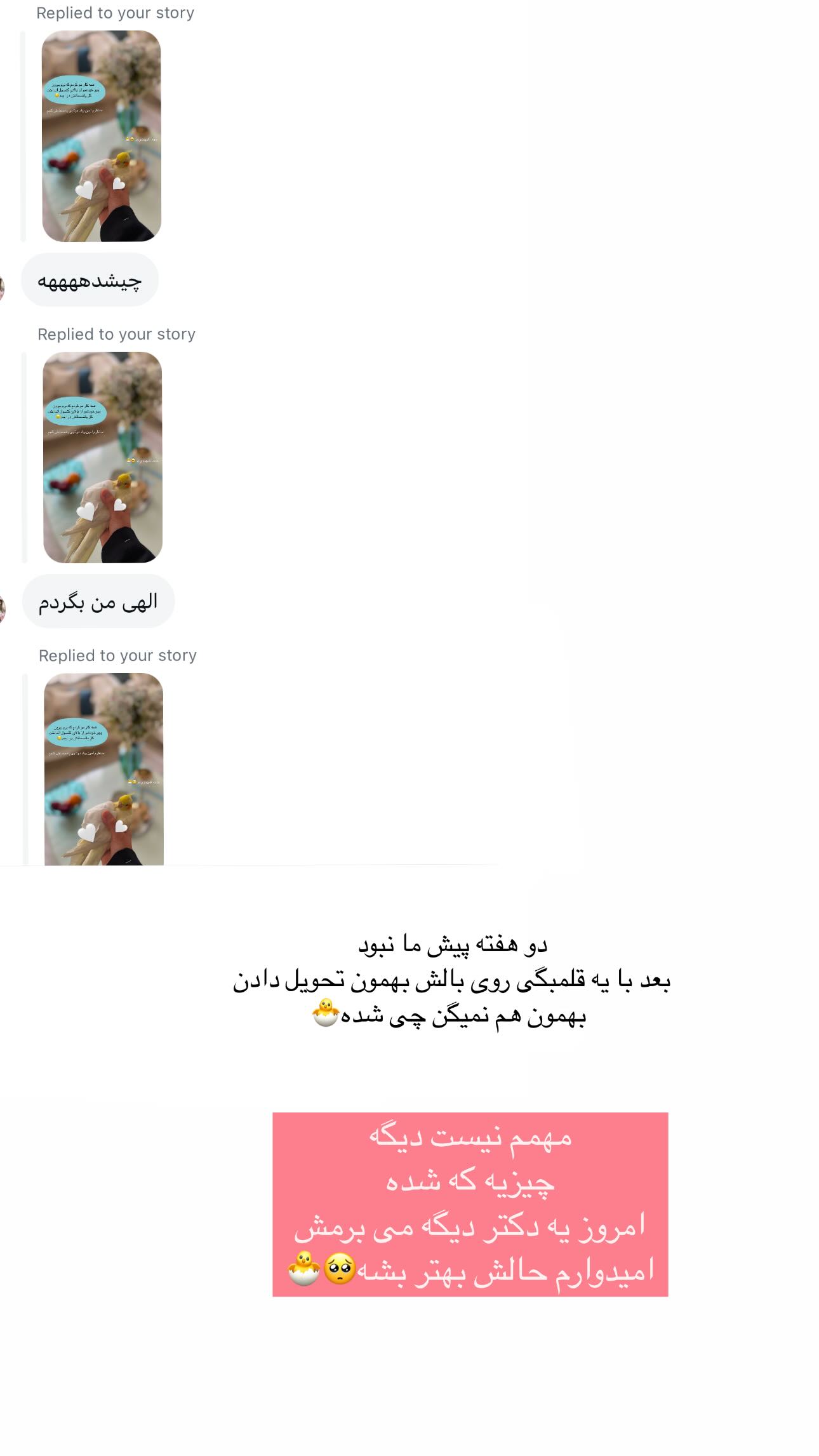 جدید ترین استوری اینستاگرام زهره و امین