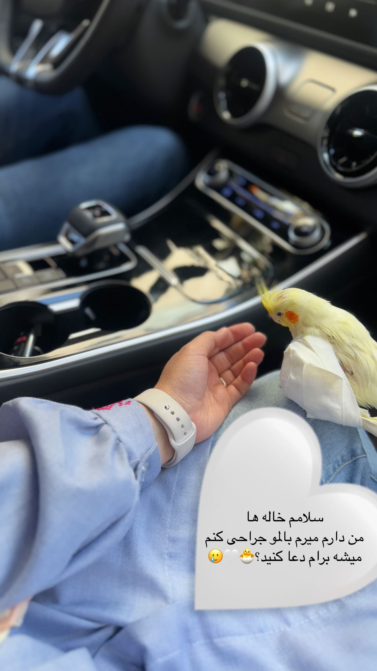  جدید ترین استوری اینستاگرام زهره و امین