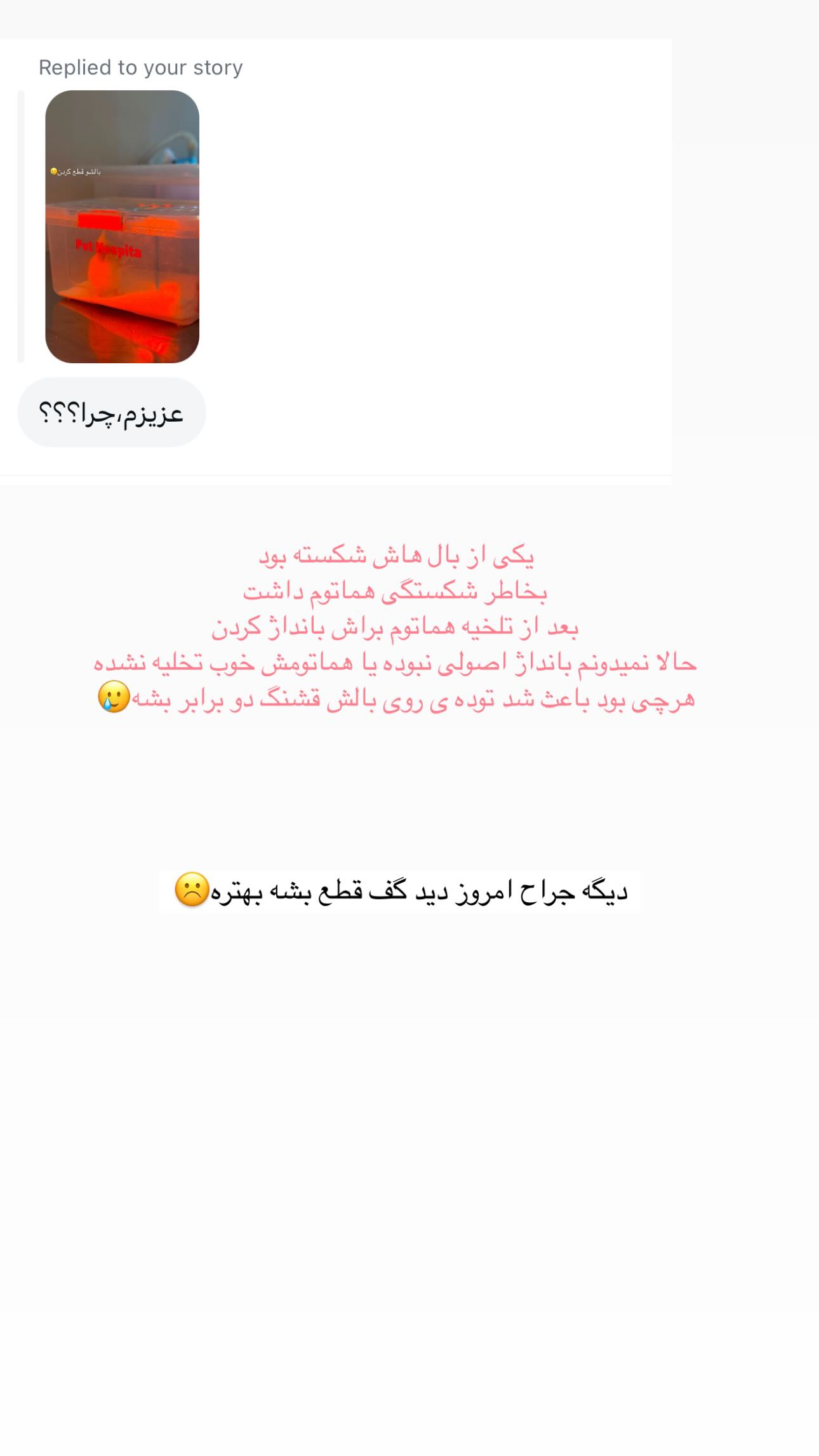  جدید ترین استوری اینستاگرام زهره و امین