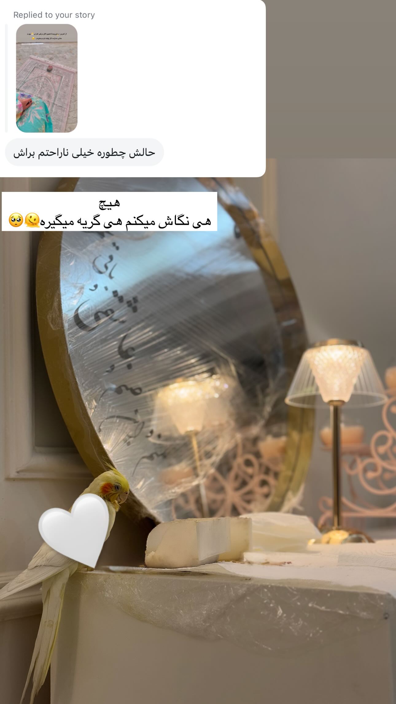  جدید ترین استوری اینستاگرام زهره و امین