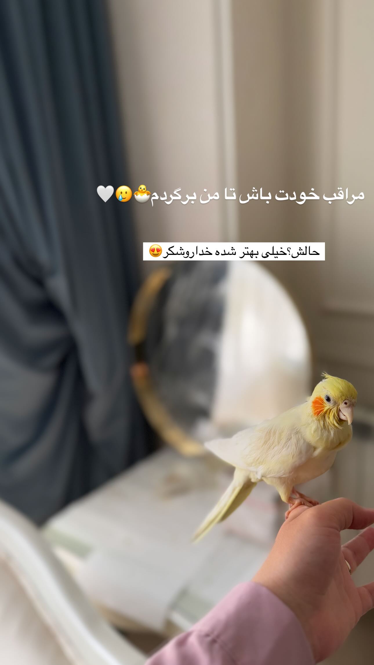  جدید ترین استوری اینستاگرام زهره و امین