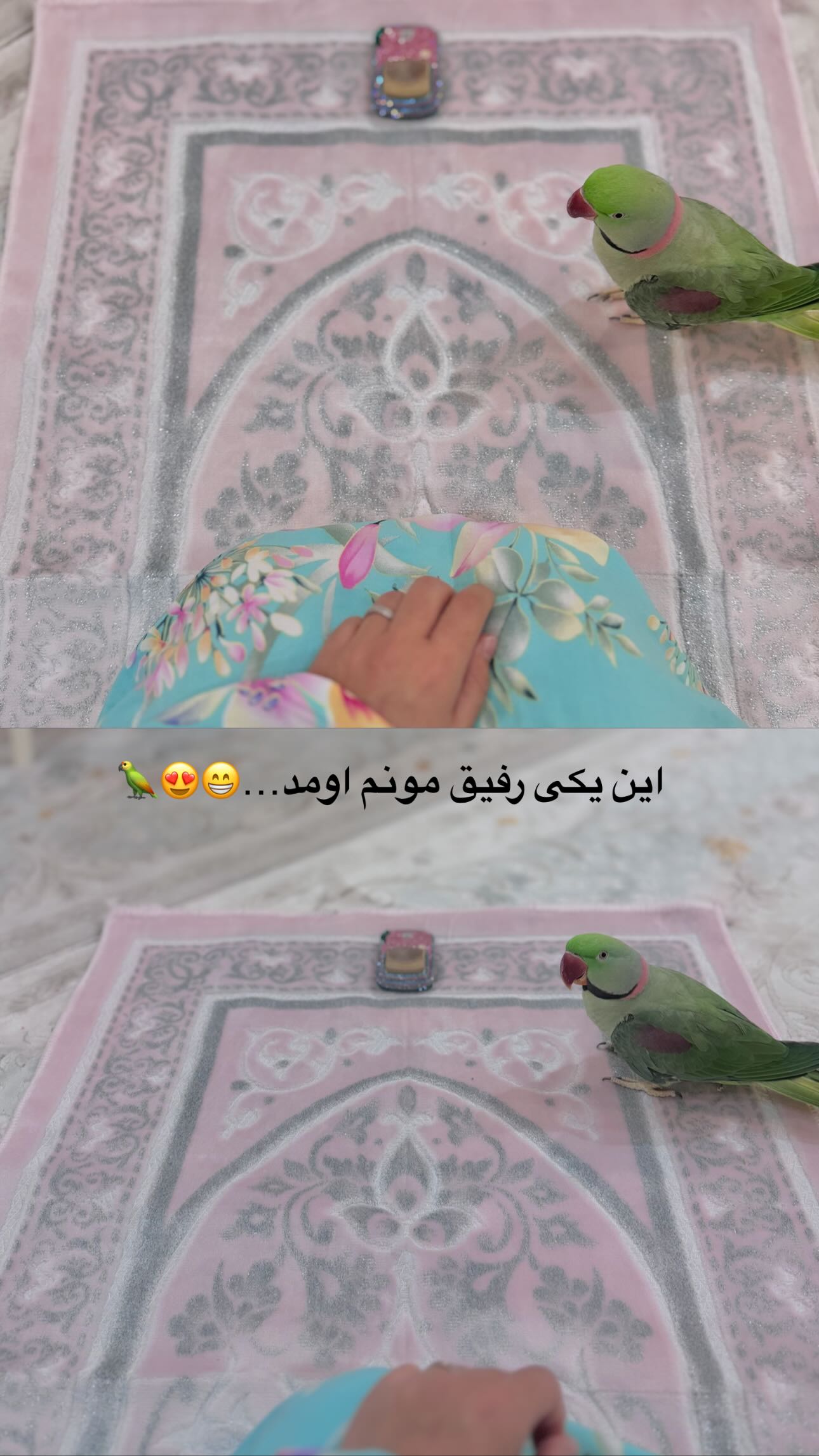  جدید ترین استوری اینستاگرام زهره و امین