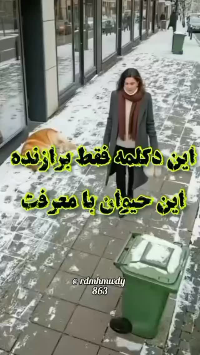  جدید ترین استوری اینستاگرام زهره کودایی