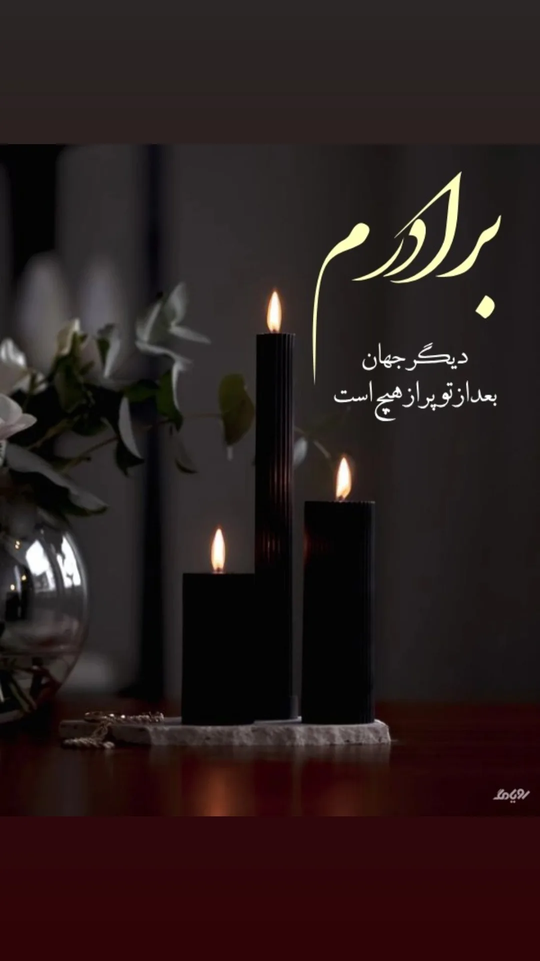  جدید ترین استوری اینستاگرام زهره وکیلی