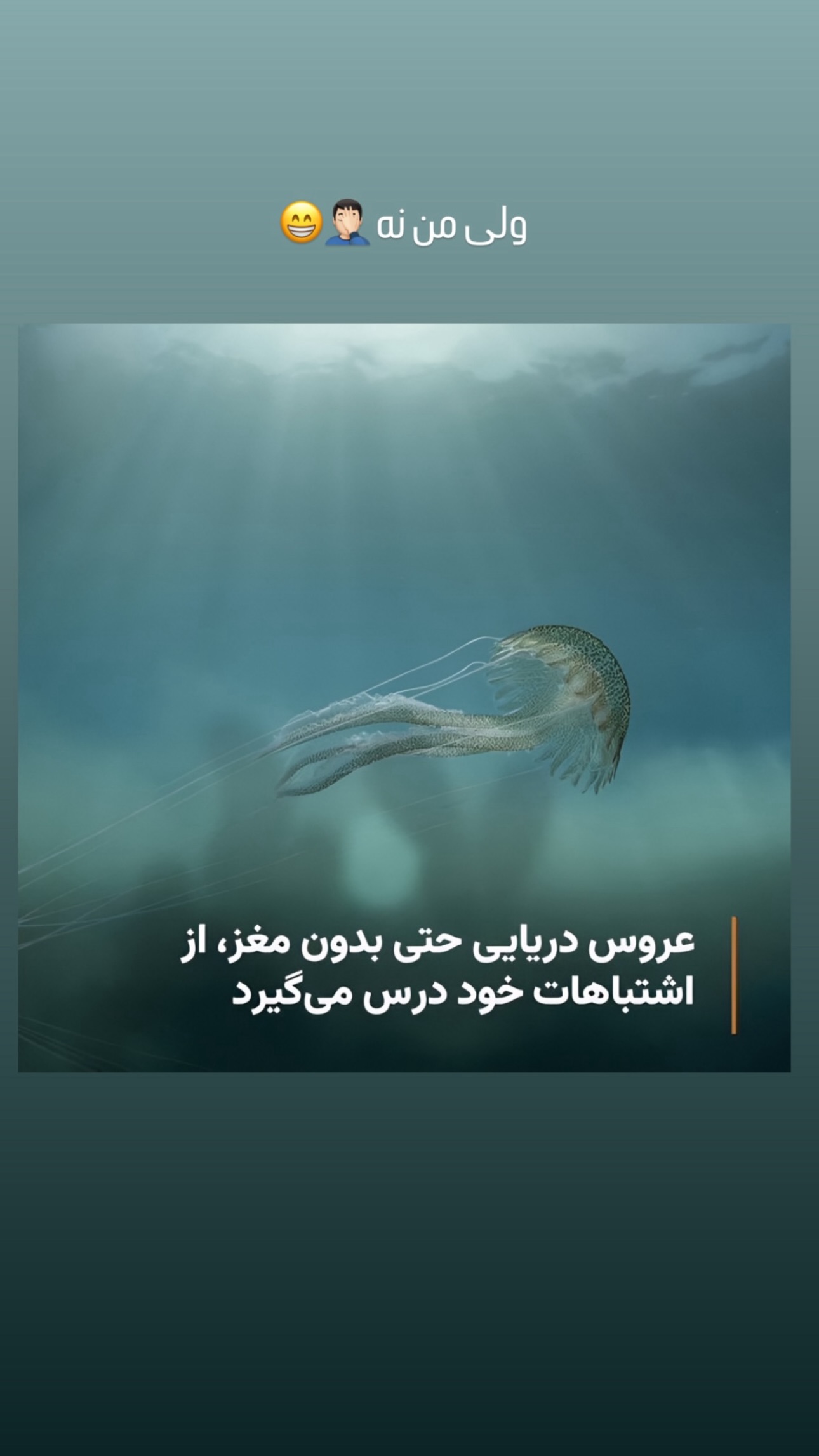 جدید ترین استوری اینستاگرام حمید رضا زارع